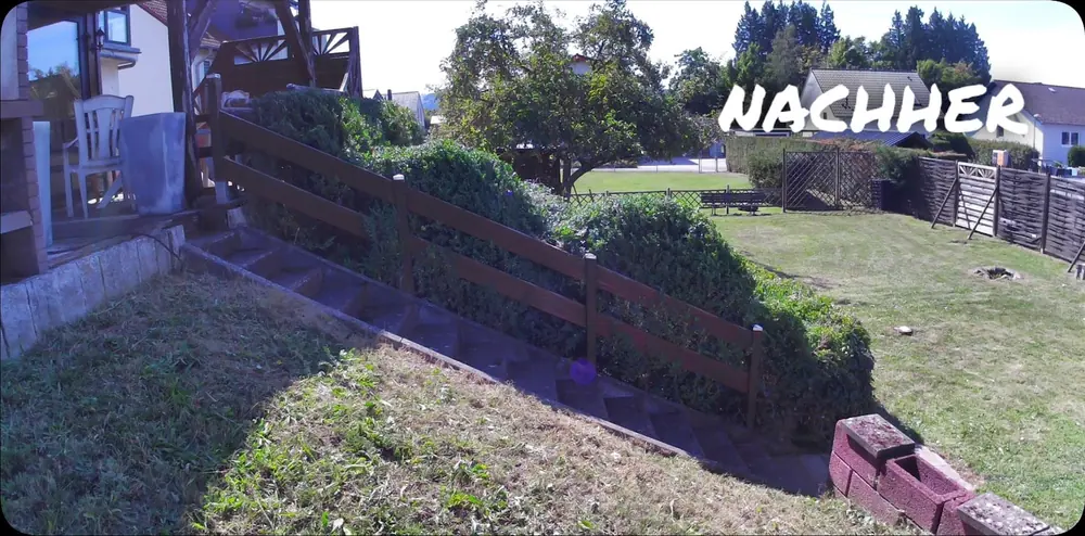 Nachher: Zugewachsene Hecke am Geländer